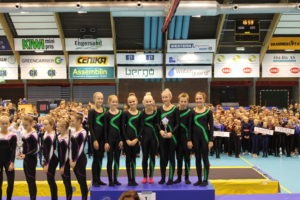Stag Turn rekrutt BT 2016